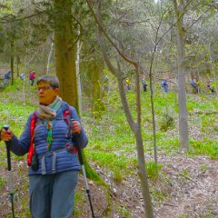 P1190924 Verso il Museo. Guida Mara Perlato, con Mario Dalcomune e Flavio Castegini.